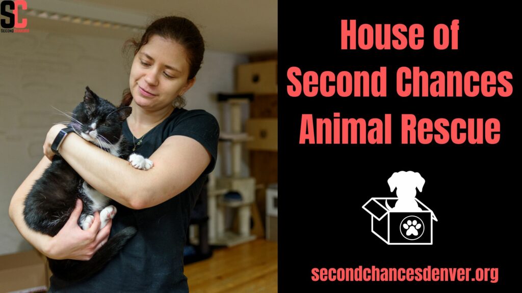House of Second Chances Animal Rescue In 2024